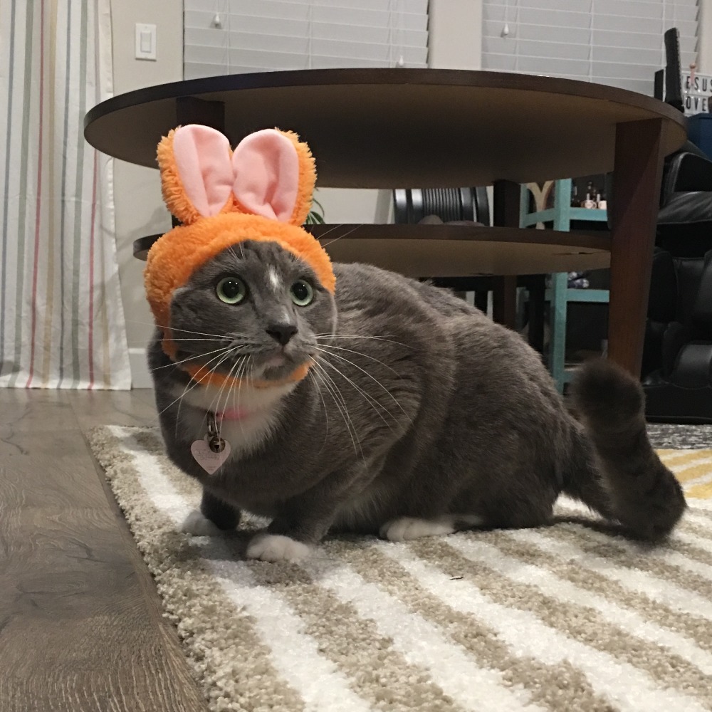 Meet your Posher, Christin